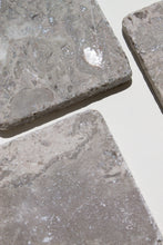 Load image into Gallery viewer, fossil